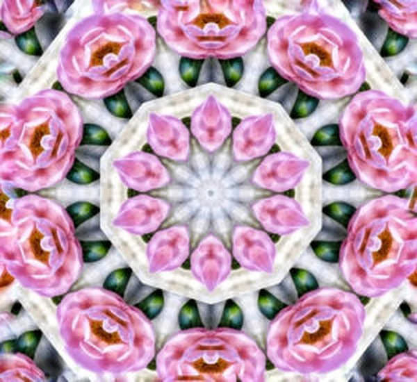 Original floral pattern representing Academia's endometriosis care